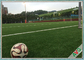 Professional Football Artificial Turf 12 Years Guaranteed Soccer Artificial Grass pemasok
