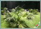 Rumput Buatan Luar Ruangan Ramah Lingkungan Menjaga Persetujuan SGS Evergreen pemasok