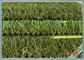 Ramah Lingkungan Tanpa Bau Rumput Buatan Hewan Peliharaan Luar Ruangan Bentuk W Monofil PE + APD Keriting pemasok