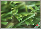 6800 Dtex Perawatan Mudah Pet Karpet Rumput Rumput Buatan Untuk Perjamuan Balkon / Hewan Peliharaan pemasok