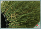 Penampilan Mirip dengan Rumput Lansekap Rumput Asli Hemat Biaya pemasok