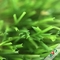 3/8 '' Gauge PE + PP Material Flat Garden Artificial Grass Untuk Pameran pemasok