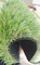Rumput Rumput Buatan Hijau Muda Anti Statis Untuk Balkon, Tinggi 40 - 50mm pemasok