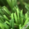 Rumput Buatan Luar Taman TK Dengan Formula Lembut Dan Ketebalan Film Kecil pemasok