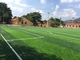 Rumput Buatan Sepak Bola PE Dengan Benang Batang Kuat Dan Dukungan Kuat pemasok