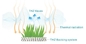 Benang Keriting Monofilamen Rumput Buatan Luar Ruangan Lansekap Sehat Rumput Palsu pemasok